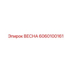 6060100161 ВЕСНА Epiroc