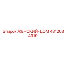 4812034919 ЖЕНСКИЙ-ДОМ Epiroc