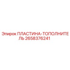 2658376241 ПЛАСТИНА-ТОПОЛНИТЕЛЬ Epiroc