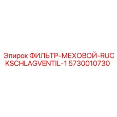 5730010730 ФИЛЬТР-МЕХОВОЙ-RUCKSCHLAGVENTIL-1 Epiroc