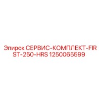 1250065599 СЕРВИС-КОМПЛЕКТ-FIRST-250-HRS Epiroc