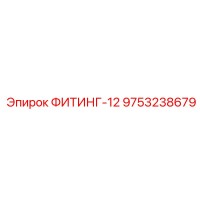 9753238679 ФИТИНГ-12 Epiroc