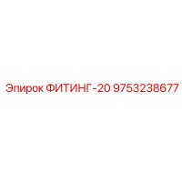 9753238677 ФИТИНГ-20 Epiroc