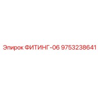 9753238641 ФИТИНГ-06 Epiroc