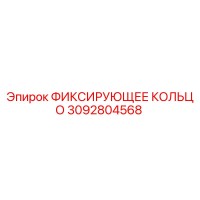 3092804568 ФИКСИРУЮЩЕЕ КОЛЬЦО Epiroc