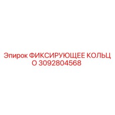 3092804568 ФИКСИРУЮЩЕЕ КОЛЬЦО Epiroc