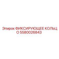 5580026843 ФИКСИРУЮЩЕЕ КОЛЬЦО Epiroc