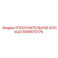 5590012176 УПЛОТНИТЕЛЬНОЕ КОЛЬЦО Epiroc