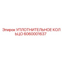 6060001637 УПЛОТНИТЕЛЬНОЕ КОЛЬЦО Epiroc