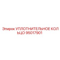 95017901 УПЛОТНИТЕЛЬНОЕ КОЛЬЦО Epiroc