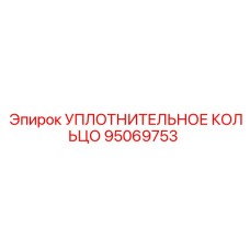 95069753 УПЛОТНИТЕЛЬНОЕ КОЛЬЦО Эпирок