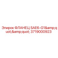 3719000923 ФЛАНЕЦ SAE6-G1