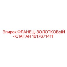 1617671411 ФЛАНЕЦ-ЗОЛОТКОВЫЙ-КЛАПАН Epiroc