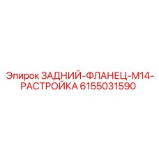 6155031590 ЗАДНИЙ-ФЛАНЕЦ-M14-РАСТРОЙКА Epiroc
