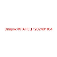 1202491104 ФЛАНЕЦ Эпирок