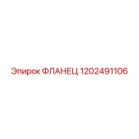 1202491106 ФЛАНЕЦ Эпирок