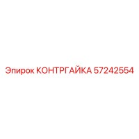 57242554 КОНТРГАЙКА Epiroc