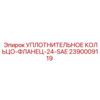 2390009119 УПЛОТНИТЕЛЬНОЕ КОЛЬЦО-ФЛАНЕЦ-24-SAE Epiroc