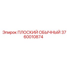 3760010874 ПЛОСКИЙ ОБЫЧНЫЙ Epiroc
