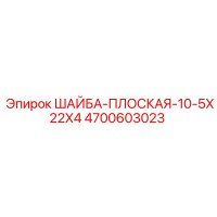 4700603023 ШАЙБА-ПЛОСКАЯ-10-5X22X4 Epiroc
