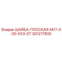 301217800 Flat Washer M17-0-30-0X3-0T Epiroc