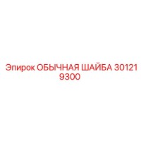 301219300 ОБЫЧНАЯ ШАЙБА Epiroc