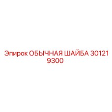 301219300 ОБЫЧНАЯ ШАЙБА Epiroc