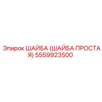 5559923500 ШАЙБА (ШАЙБА ПРОСТАЯ) Epiroc