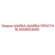 5559923500 ШАЙБА (ШАЙБА ПРОСТАЯ) Epiroc