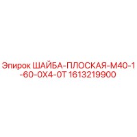 1613219900 ШАЙБА-ПЛОСКАЯ-M40-1-60-0X4-0T Epiroc