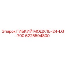 6225594800 ГИБКИЙ МОДУЛЬ-24-LG-700 (Epiroc)