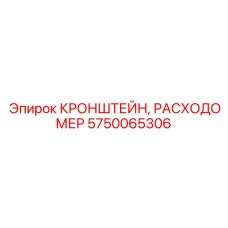5750065306 КРОНШТЕЙН, РАСХОДОМЕР - Epiroc