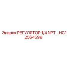 HC12564599 РЕГУЛЯТОР 1/4 NPT Epiroc