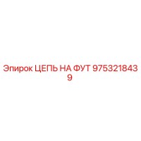 9753218439 ЦЕПЬ НА ФУТ Epiroc