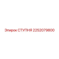 2252079800 СТУПНЯ Epiroc
