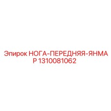1310081062 НОГА-ПЕРЕДНЯЯ-ЯНМАР Epiroc
