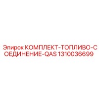 1310036699 КОМПЛЕКТ-ТОПЛИВО-СОЕДИНЕНИЕ-QAS Эпирок