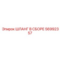 56992357 ШЛАНГ В СБОРЕ Epiroc