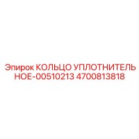 4700813818 КОЛЬЦО УПЛОТНИТЕЛЬНОЕ-00510213 Epiroc