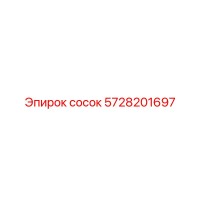 5728201697 Сосок Epiroc
