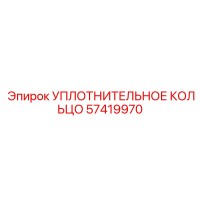 57419970 УПЛОТНИТЕЛЬНОЕ КОЛЬЦО Epiroc