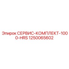 1250065602 СЕРВИС-КОМПЛЕКТ-1000-HRS Epiroc