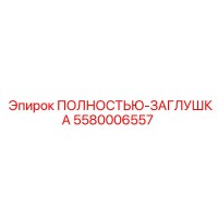 5580006557 ПОЛНОСТЬЮ-ЗАГЛУШКА Epiroc