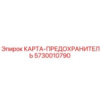 5730010790 КАРТА-ПРЕДОХРАНИТЕЛЬ Epiroc