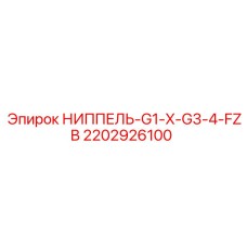 2202926100 НИППЕЛЬ-G1-X-G3-4-FZB Эпирок
