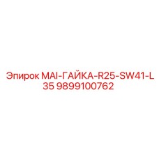 9899100762 MAI-ГАЙКА-R25-SW41-L35 Epiroc