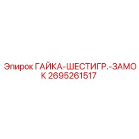 2695261517 ГАЙКА-ШЕСТИГР.-ЗАМОК Epiroc