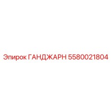 5580021804 ГАНДЖАРН Epiroc