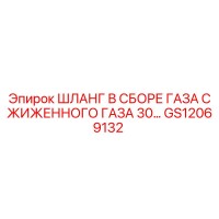 GS12069132 ШЛАНГ В СБОРЕ ГАЗА СЖИЖЕННОГО ГАЗА 30… Epiroc