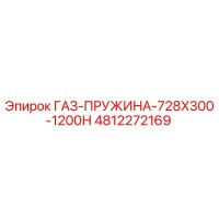 4812272169 ГАЗ-ПРУЖИНА-728X300-1200Н Эпирок